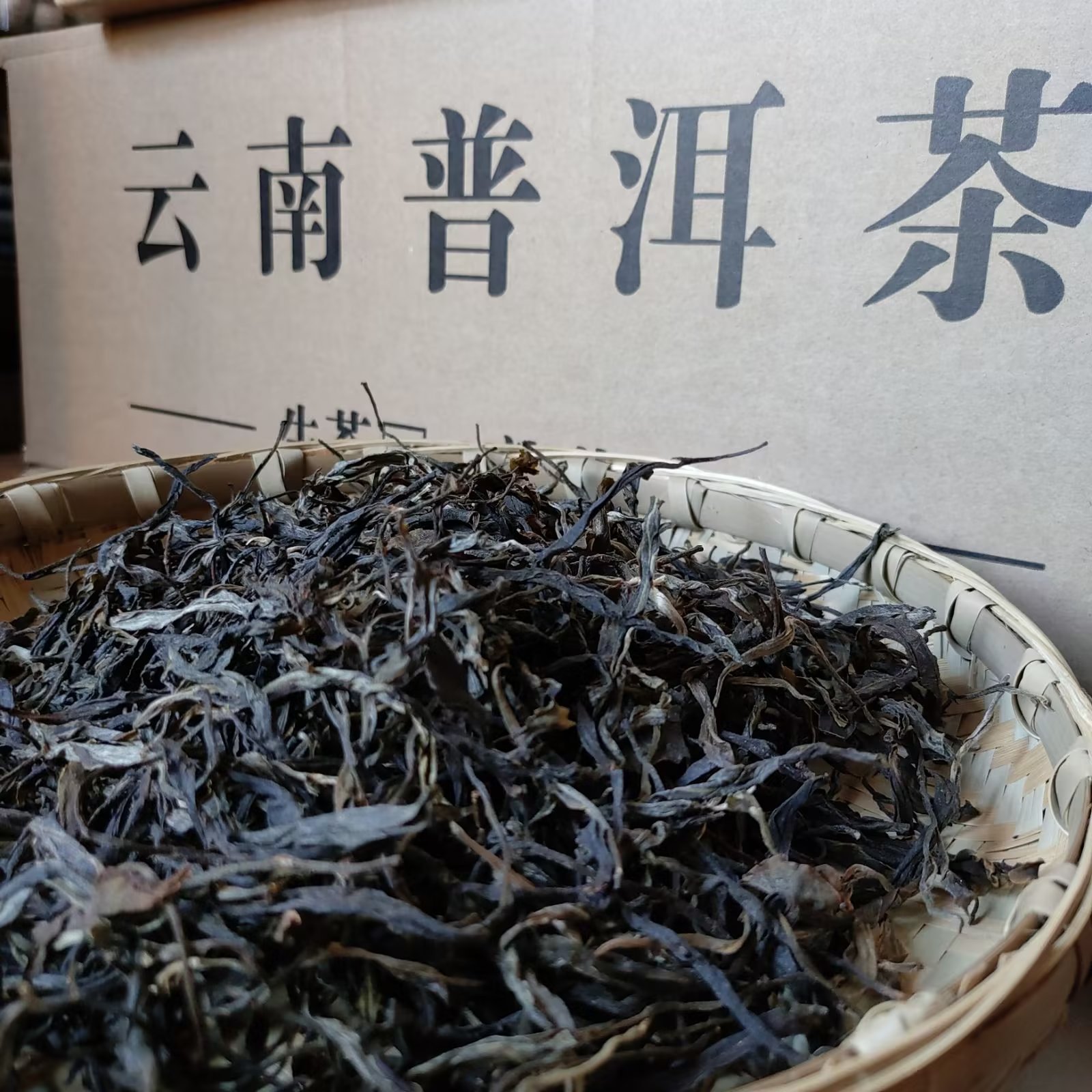 云南普洱茶叶勐海散茶邦东大树老树茶原产地直供100g尝鲜生茶批发