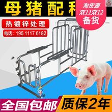 母猪配种架小母猪配种设备猪用矮脚配种器工具夹配猪架子支架神器