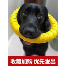 狗狗玩具大型犬互动圆环金毛拉布拉多拉环狗球磨牙耐咬狗解闷神萌