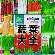 蔬菜种子四季播种阳台农家盆栽香菜菠菜生菜韭菜小葱草莓籽孑大全