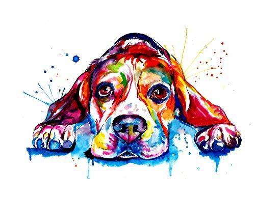 彩色斑点狗 满钻 钻石画 厂家货源