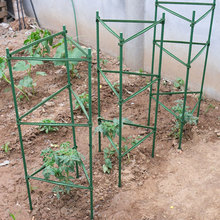 黄瓜架西红柿番茄攀爬支架爬藤植物支架茄子架豆角爬藤架支柱园艺
