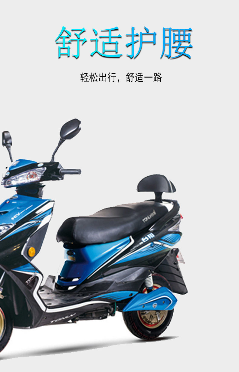 摩托车后备箱踏板电动车后靠背通用雅迪迅鹰电瓶车靠背简易款后座