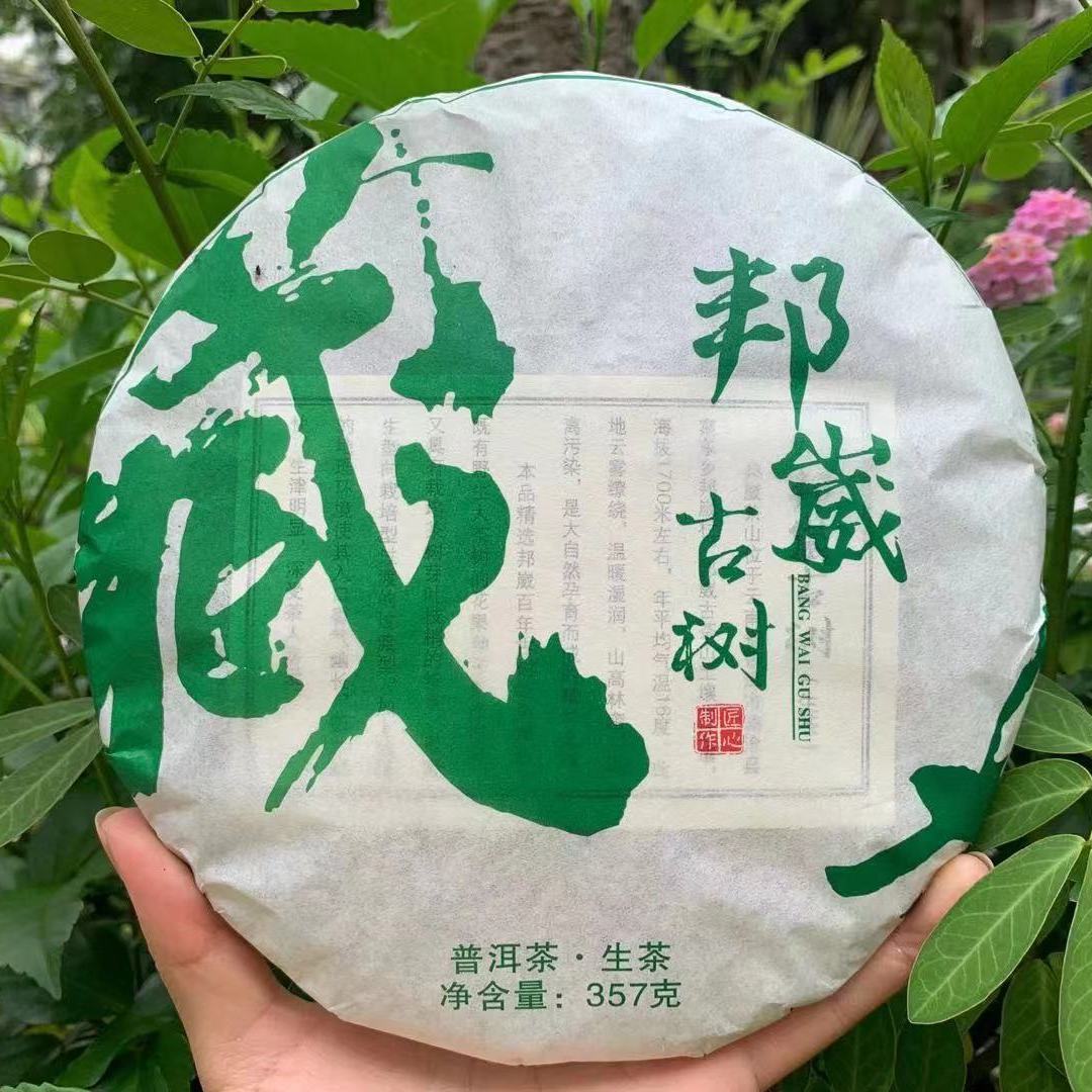 云南普洱茶饼邦崴生茶