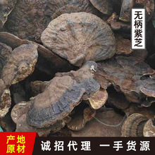 森林之爱广西野生无柄紫芝批发煮茶泡酒煲汤一斤装无柄灵芝不苦