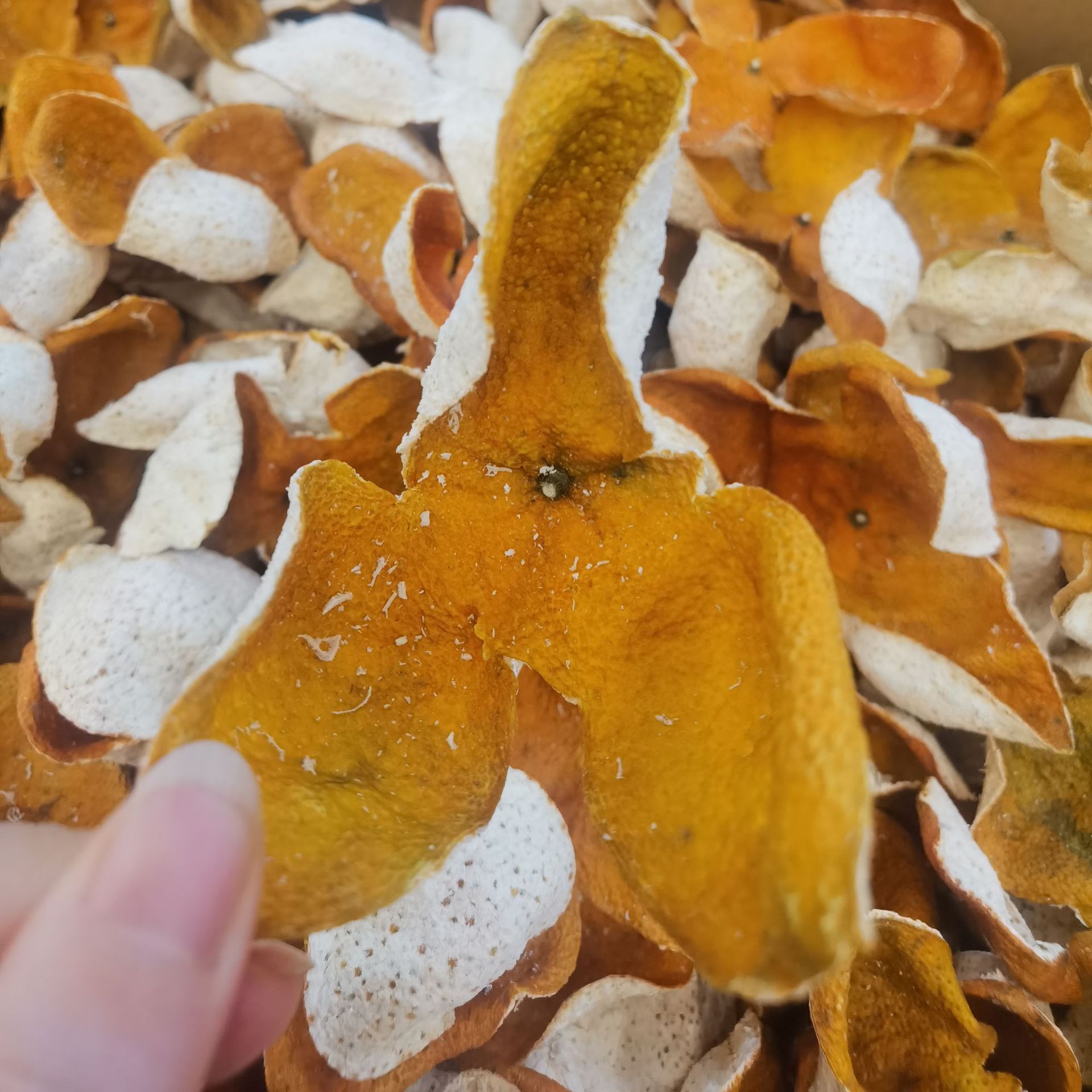 2021年新会大红皮220/斤 陈皮批发 干货一手货源 全国一件代发