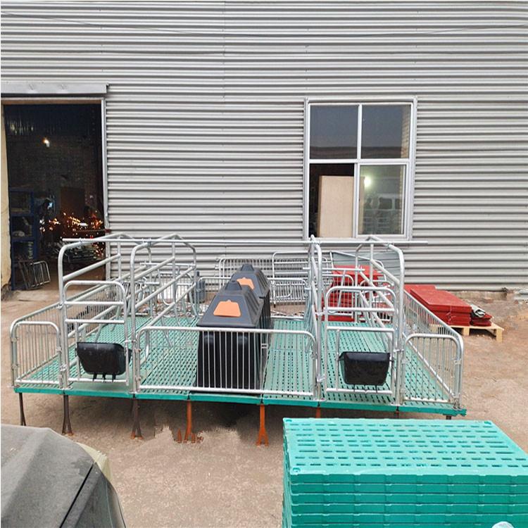 全复合热镀锌 母猪产床 养猪设备 双体开沟施肥母猪产保两用