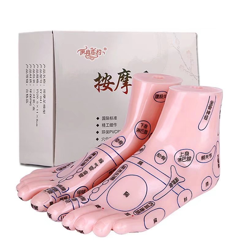 20cm足部穴位模型高清足底穴位反射区按摩器足疗点穴棒脚推拿足模