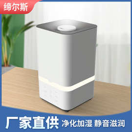 2022跨境电商新款5L加湿器家用空气加湿香薰机超声波雾化精油静音
