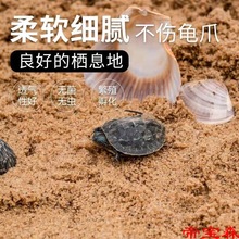 乌龟专用沙孵化下蛋鱼缸底砂爬虫沙蜥蜴守宫爬宠蜗牛冬眠细沙子