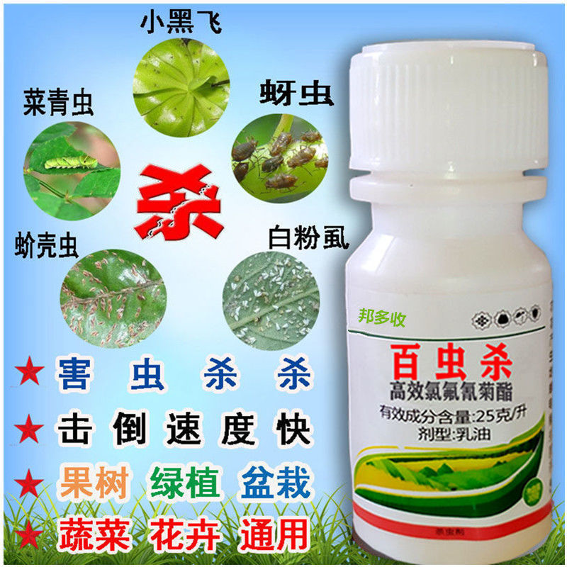 5% 蝼金针虫地老虎土蚕地下害虫全杀农药杀虫剂-阿里巴巴