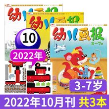 幼儿画报杂志2024年订阅红袋鼠早教启蒙绘本嘟嘟熊故事书儿童读物