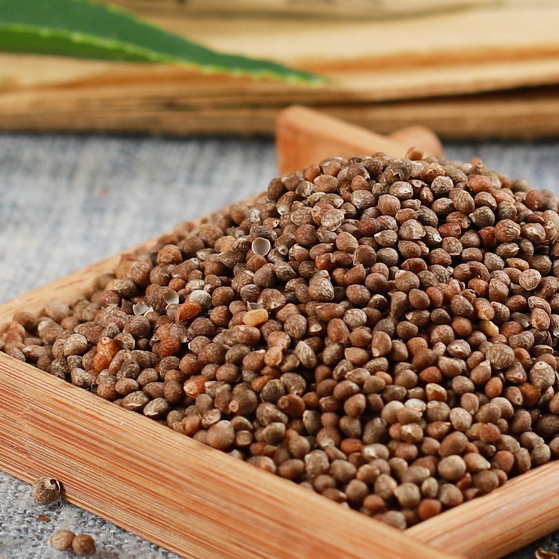中药材东北紫苏子可食用榨油磨粉 新货散装生紫苏子鸟粮鸟食饲料
