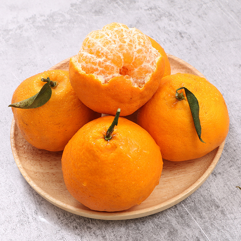 四川青见柑橘 代发3/5斤新鲜应季爆甜皮薄多汁大桔子非丑橘水果