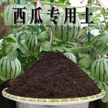 种植土壤西瓜专用土盆栽营养土家用养花通用弱酸性泥碳土平衡碱性