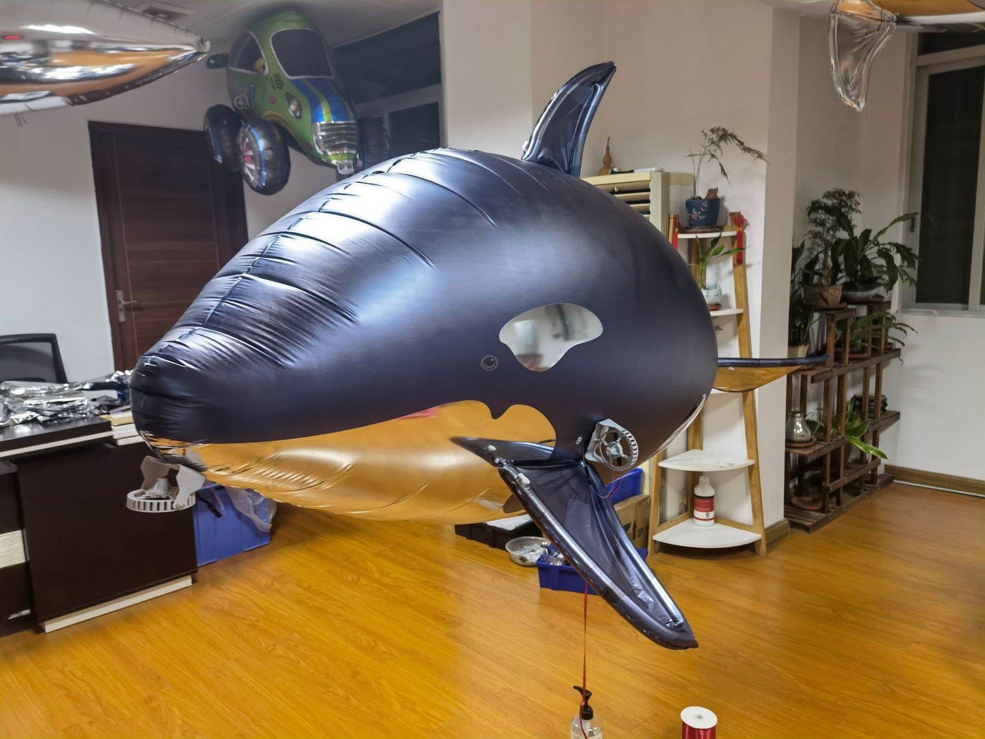 软体飞行海豚商场酒吧巡游舞台表演互动气氛道具遥控充气虎鲸气模