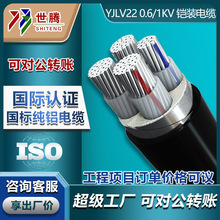 铝芯电缆YJLV22 4 3+1芯10 16 25 35 50 70平方架空铠装电力电缆
