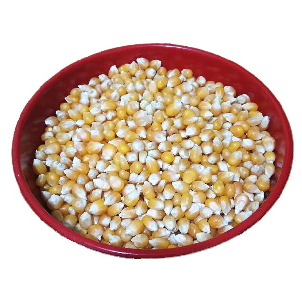 球形爆米花爆裂玉米爆裂玉米家庭商用做爆米花摆摊小玉米10斤