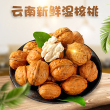 【2025新果】云南湿核桃 代发5斤新鲜嫩核桃当季薄皮山核桃鲜胡桃