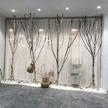 白桦树干树枝树杈干树枝橱窗隔断屏风家居枯树装饰婚纱摄影