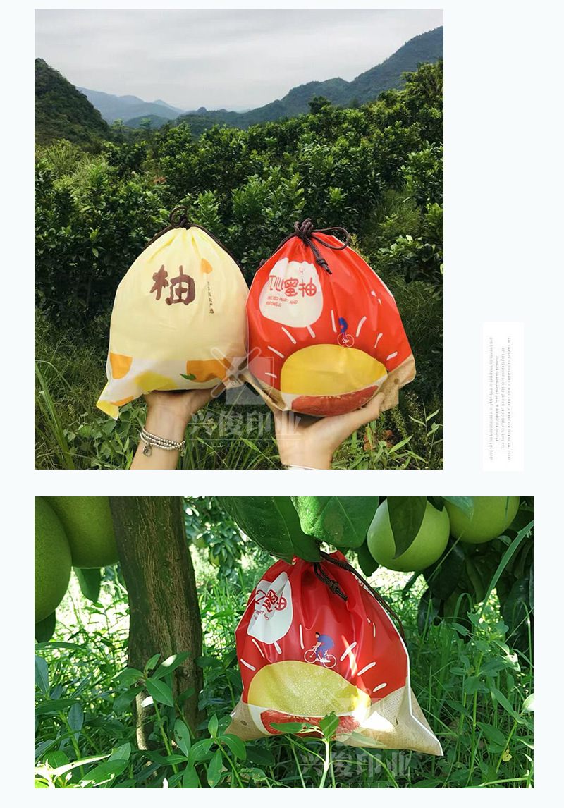 柚子袋水果包装袋沙地柚红柚保鲜袋蜜柚塑料礼品袋柚子套袋手提袋