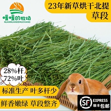 23年头茬烘干提摩西草段头茬北提兔子干草荷兰猪龙猫牧草 袋