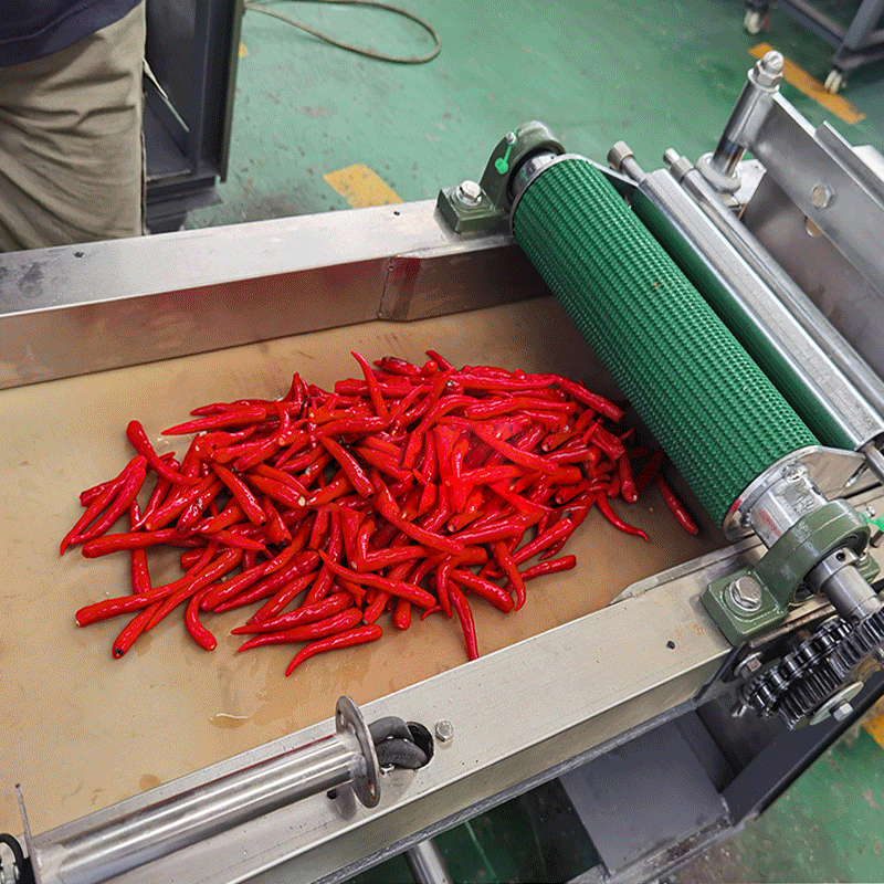 定制仿手工剁椒机 切辣椒圈辣椒段的机器 辣椒切丝切段切碎切丁片
