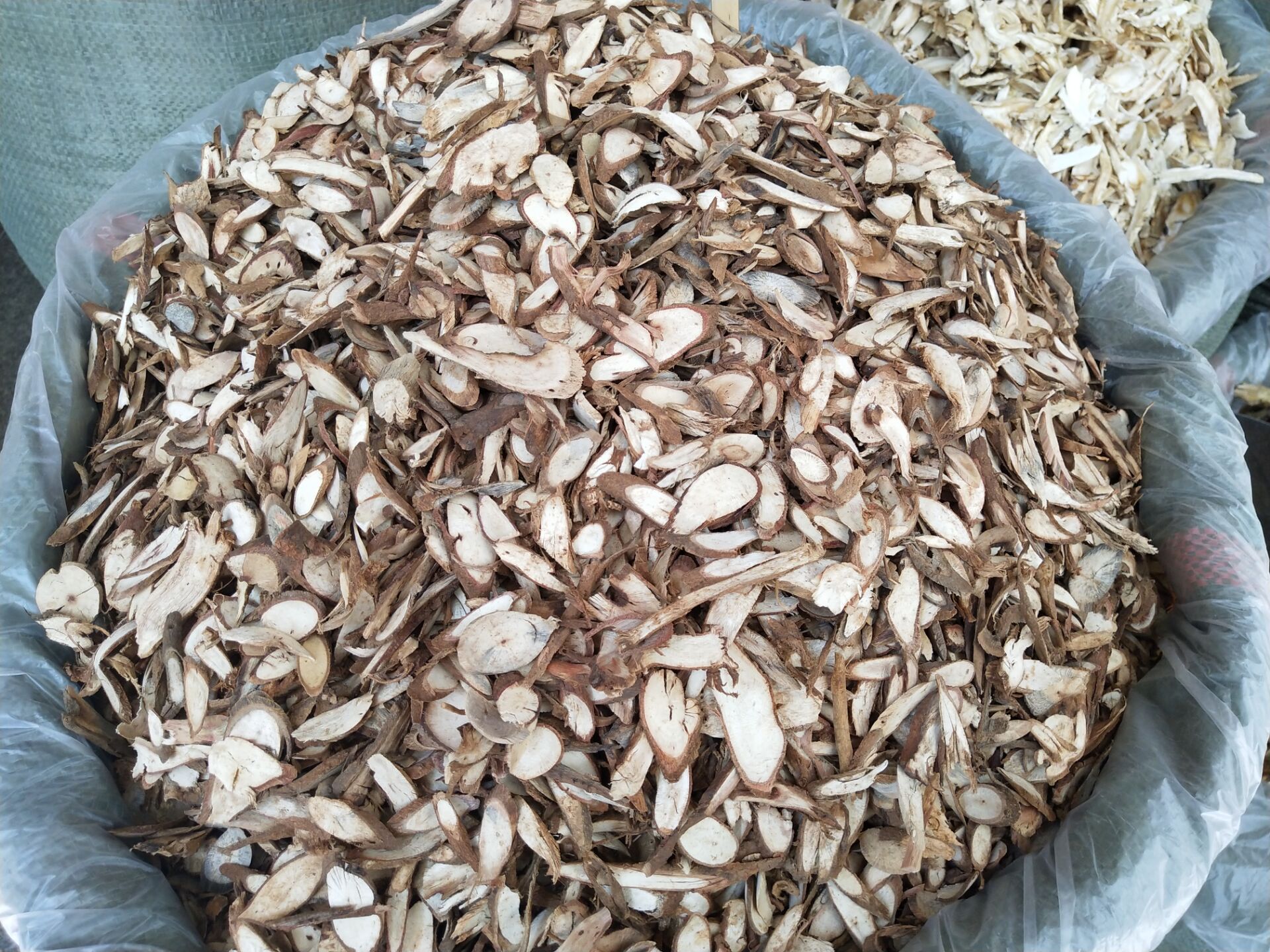 千斤拨中药材 千金拔中草药千斤拨一条根老鼠尾钻地风