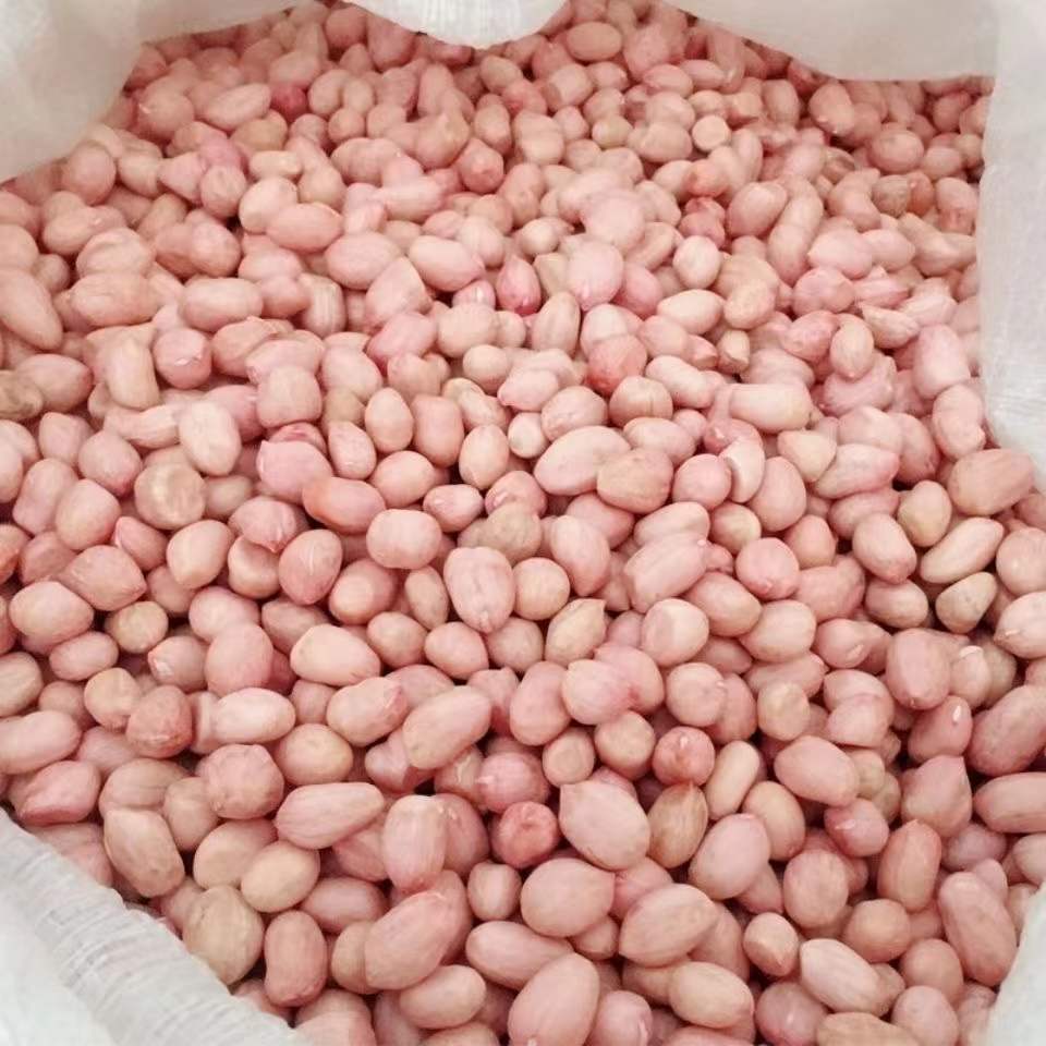 大白沙花生米生的散装产地大量批发 去壳带皮花生河南生花生