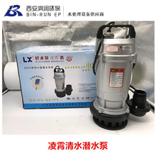 广东凌霄QD(X)清水潜水泵 QDX1.5-17-0.37 流量1.5方 扬程17米