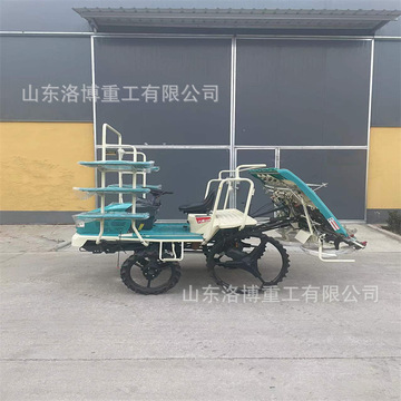 便携式轻型水稻插秧机 步进式手扶水稻插秧机 手推水稻种植机