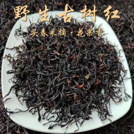 云南凤庆红茶 2024年头春野生古树红茶散装花果蜜香滇红茶批发