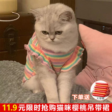 猫衣服夏季裙子彩条纹情侣狗狗短裙蓝猫布偶宠物小猫猫薄款防掉毛