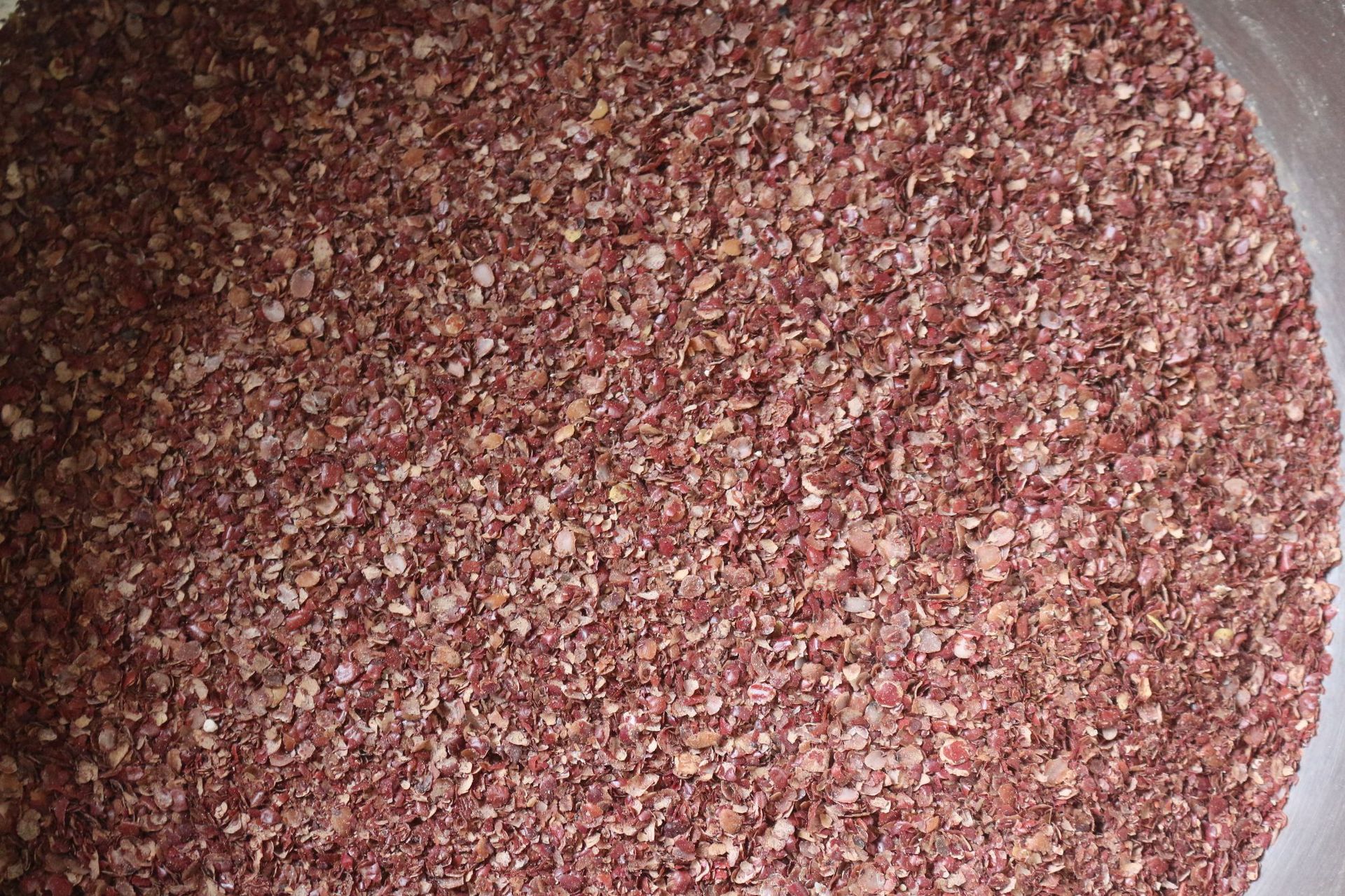 酸枣仁脱皮机,酸枣仁扒皮机,酸枣仁去壳设备