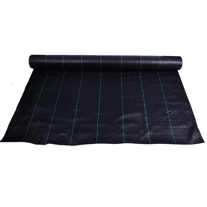 Factory Supply Industrial and Agricultural Weed Barrier Weeding Cloth Plastic Breathable Seepage Black Gardening Ground Cloth Greenhouse Weed Barrier