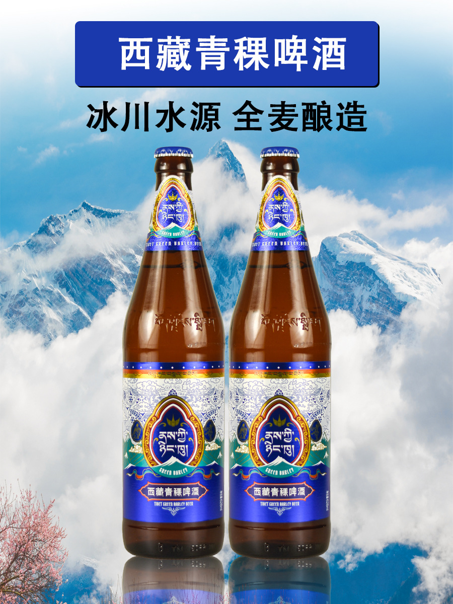 628ml*12瓶/4瓶 西藏拉萨生产青稞啤酒11度清爽精酿原浆国产啤酒