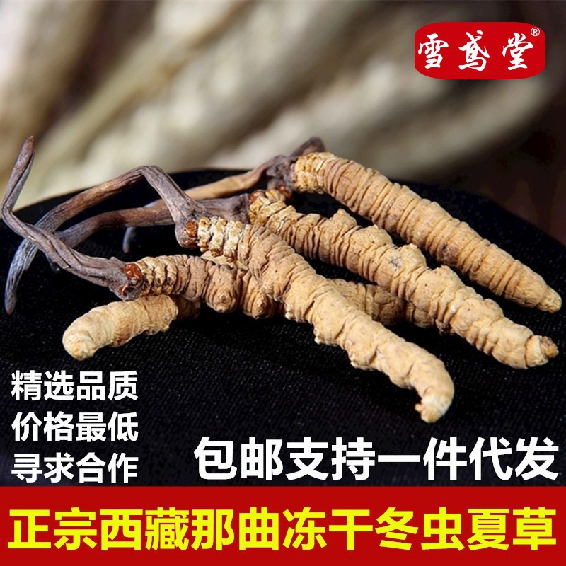 西藏那曲正品冻干虫草大号虫草2根/克冬虫夏草人工送礼泡酒中药材