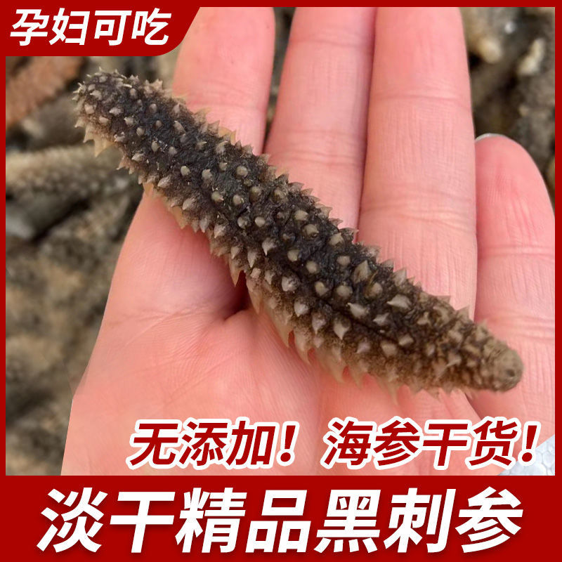 黑刺参新鲜海参非大连辽刺参足干无添加深海参-阿里巴巴