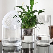 水培花盆植物玻璃瓶透明直筒圆柱形花瓶简约绿萝白掌水养玻璃容器