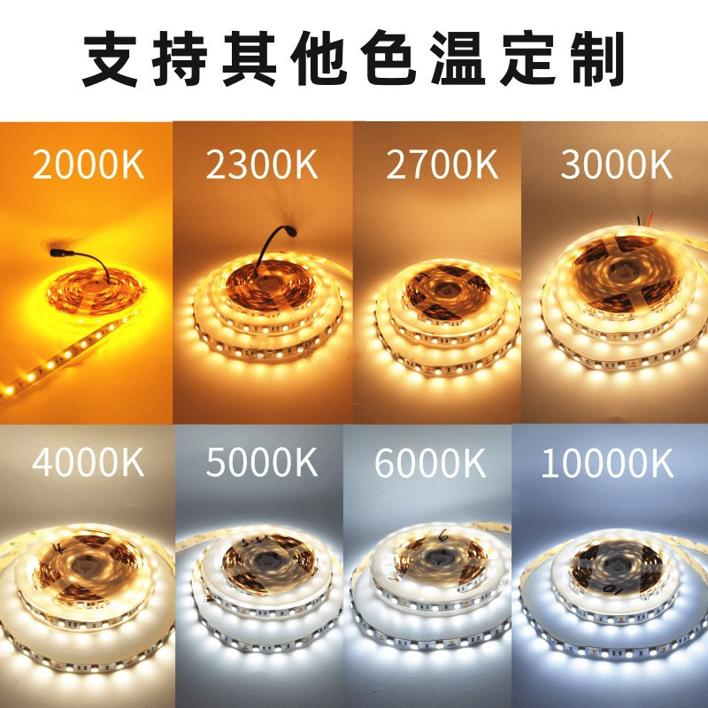 12v准色温灯带24v5050超亮金黄光2000k2300k2700k3000k4000k5000k