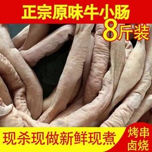 牛肠国产黄牛半熟精修带油小肠圆肥肠牛杂烧烤批发商用厂家批发