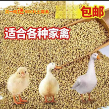 厂家批发斤大袋小鸡饲料雏鸡饲料鸡饲料鸡鸭鹅饲料八哥颗粒鱼料