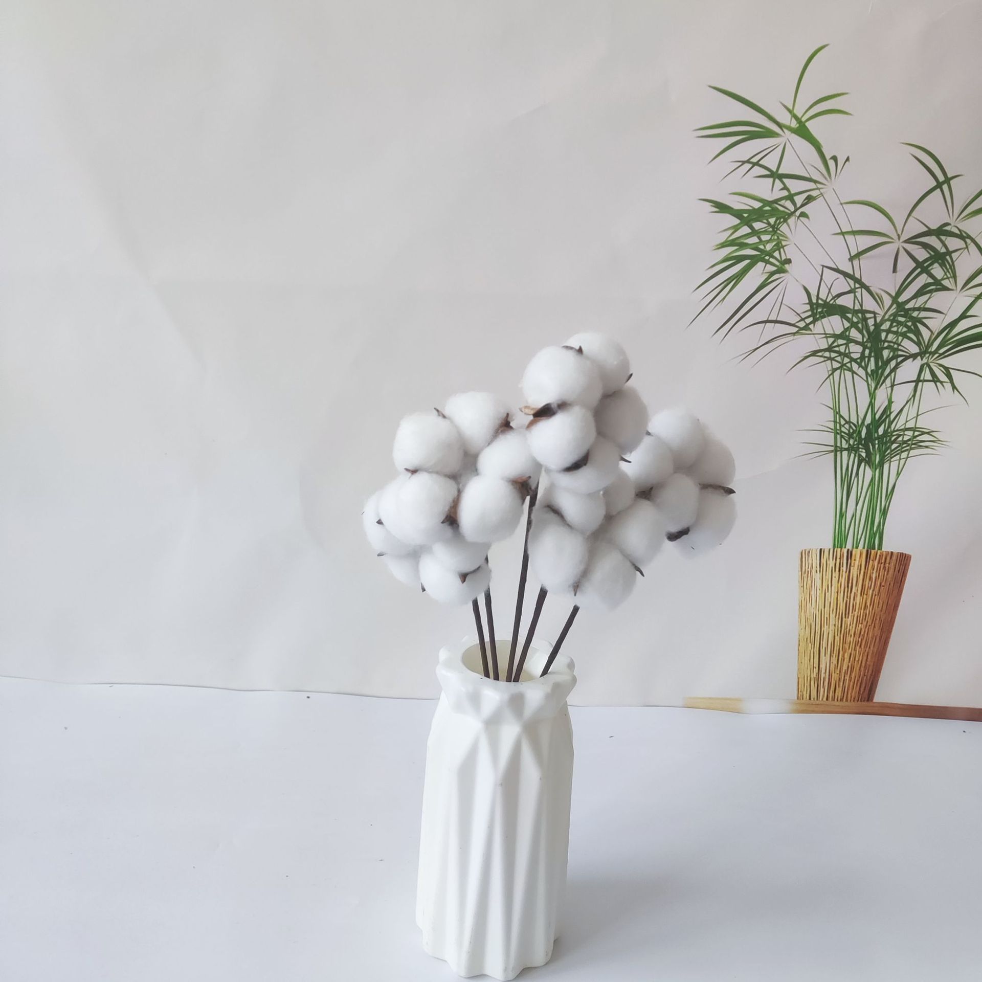 新疆五瓣棉花头 精品棉花棉花花束 厂家供应棉花干花 diy棉花