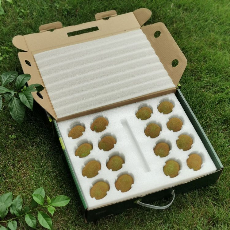 20枚装猕猴桃包装盒礼盒24枚红心猕猴桃快递箱盒猕猴桃快递盒箱