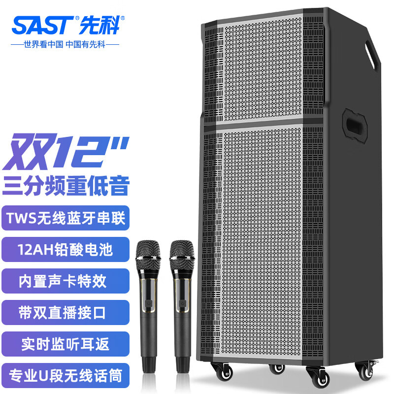 先科12英寸双户外音箱舞台会议演出广场舞婚庆专业音响无线蓝牙