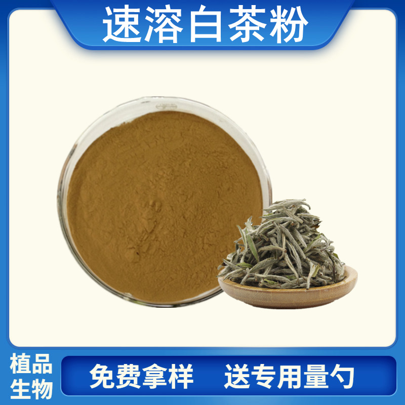 白茶粉白茶白茶提取物1kg袋