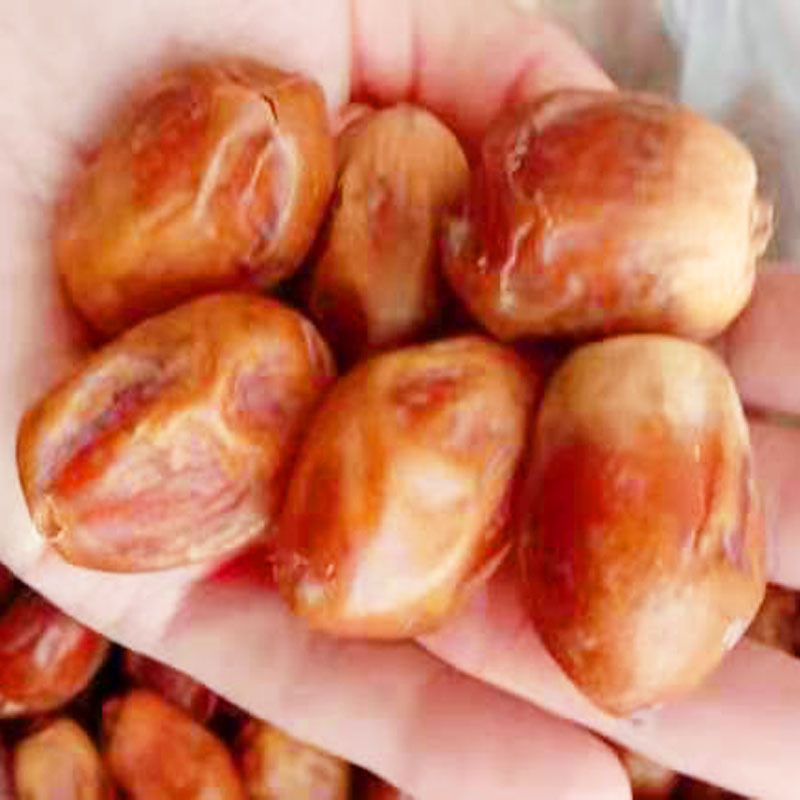 椰枣批发 自然吊干大颗粒蜜枣 电商货源伊拉克黄金椰枣箱装散货