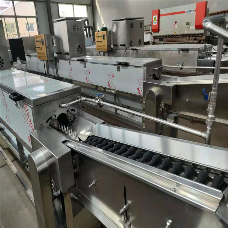 小型洗蛋机鲜鸡蛋清洗机咸鸭蛋毛刷清洗机蛋类清洗设备