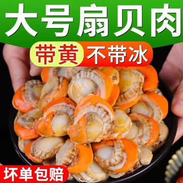新鲜优质海鲜扇贝肉冷冻海产品贝类单冻500g冷冻冷链运输坏单包赔