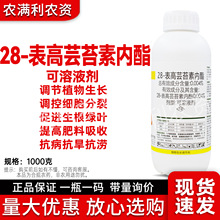 28表高芸苔素内酯调节剂促进生根绿叶正品批发芸苔素内酯植物生长